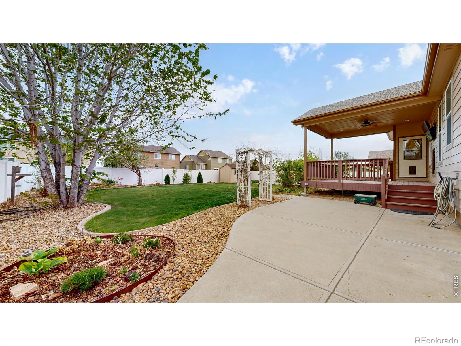 313 Telluride Drive Windsor CO 80550