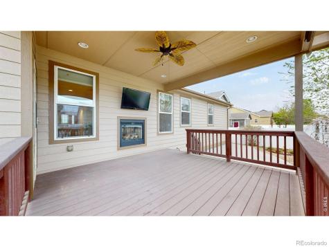 313 Telluride Drive Windsor CO 80550
