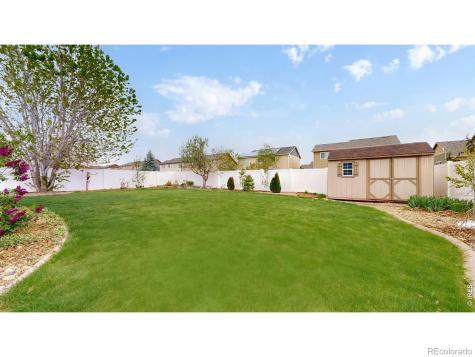313 Telluride Drive Windsor CO 80550