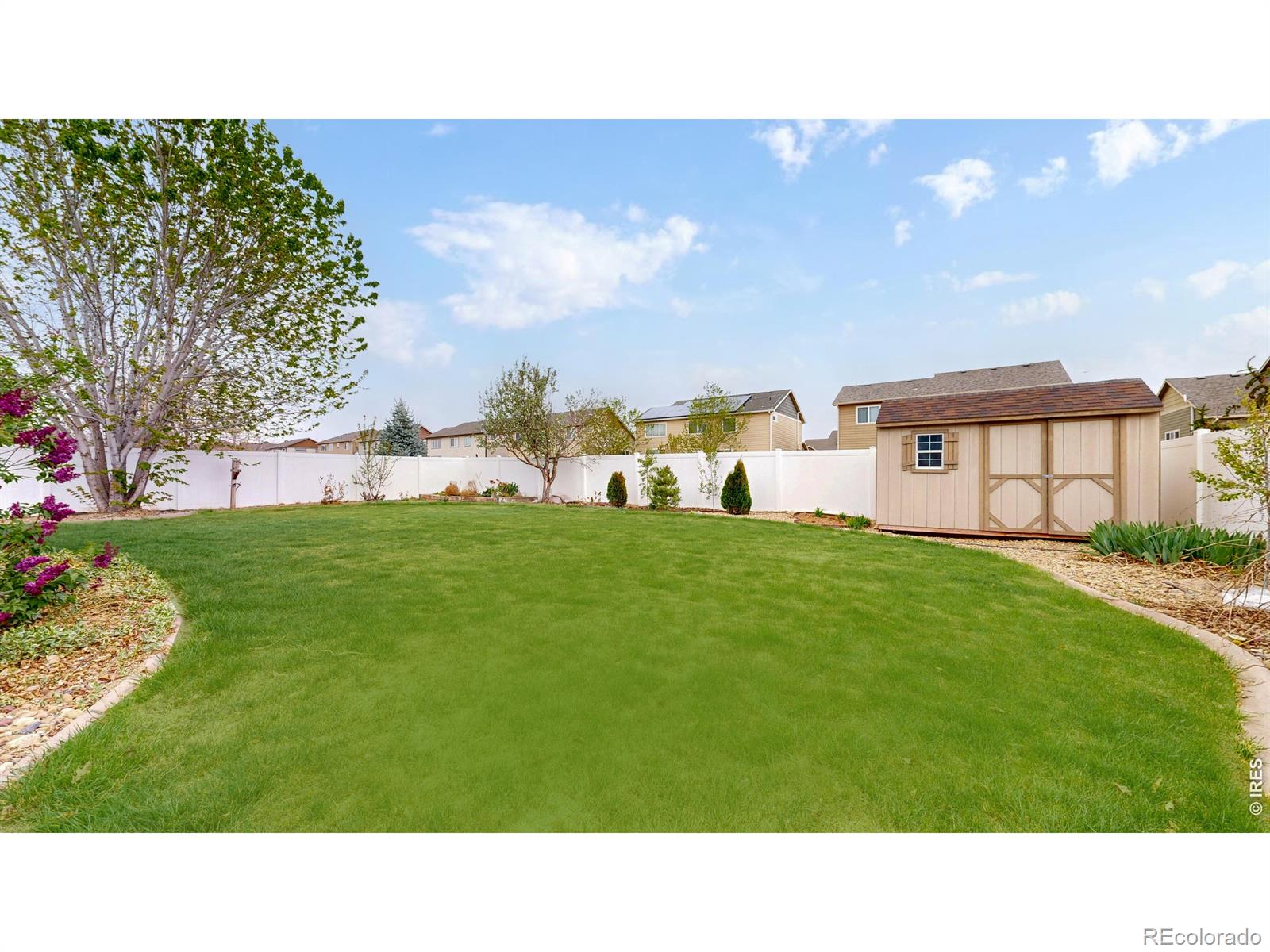 313 Telluride Drive Windsor CO 80550
