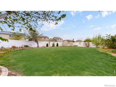 313 Telluride Drive Windsor CO 80550