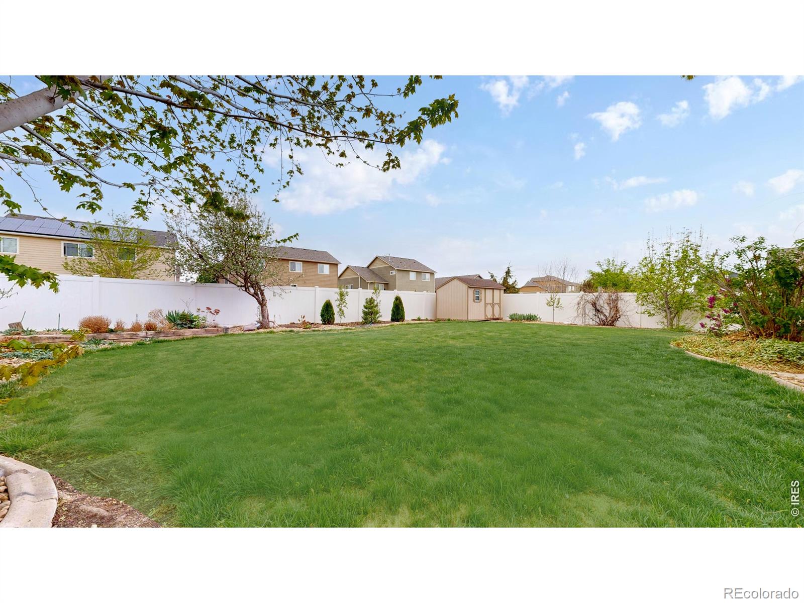 313 Telluride Drive Windsor CO 80550