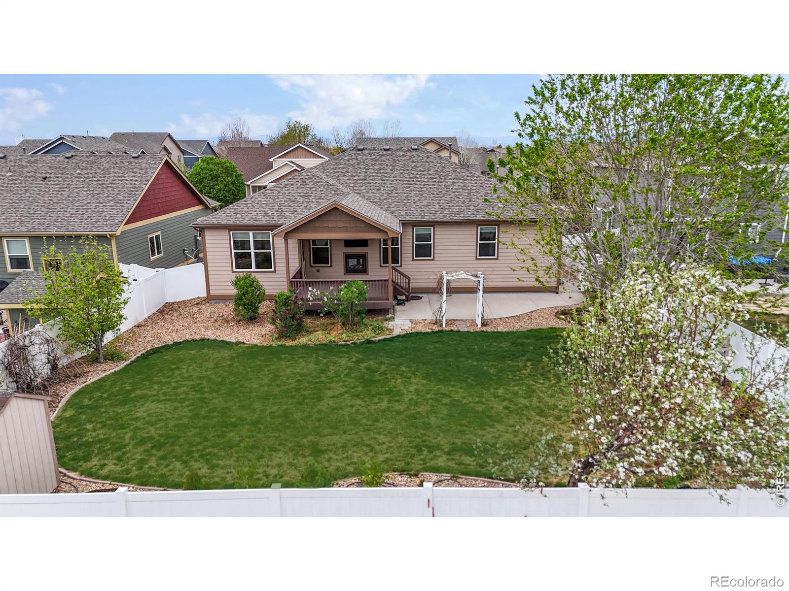 313 Telluride Drive Windsor CO 80550