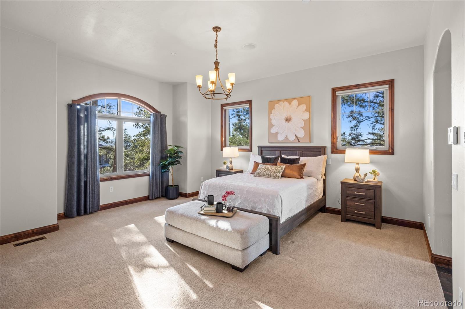 4604 Tierra Alta Drive Castle Rock CO 80104