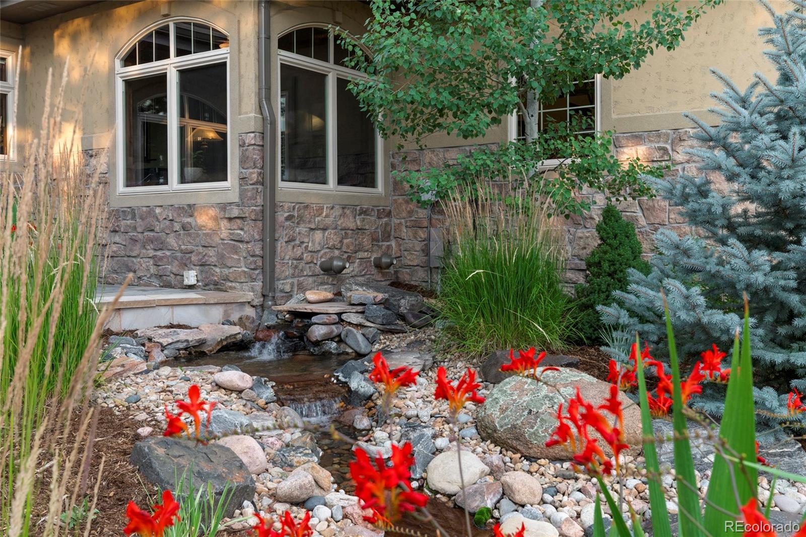4604 Tierra Alta Drive Castle Rock CO 80104