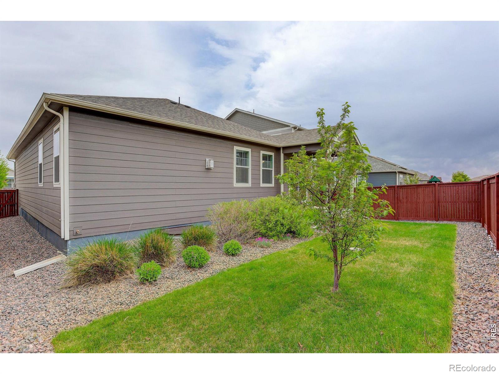 1944 Thundercloud Drive Windsor CO 80550