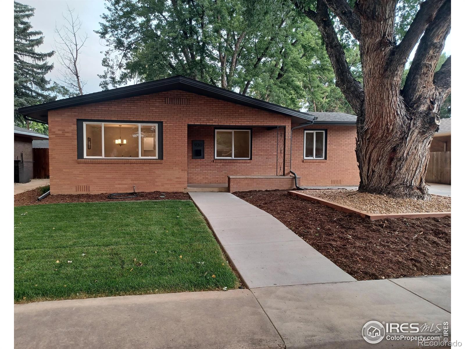 930 Grant Street Longmont CO 80501