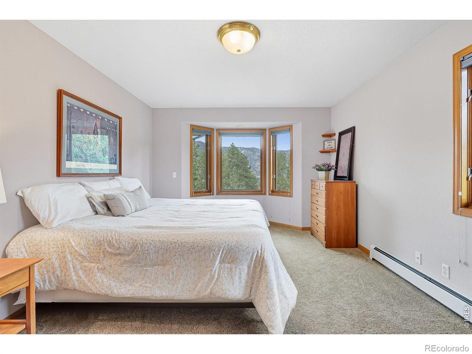 234 Deer Lane Lyons CO 80540