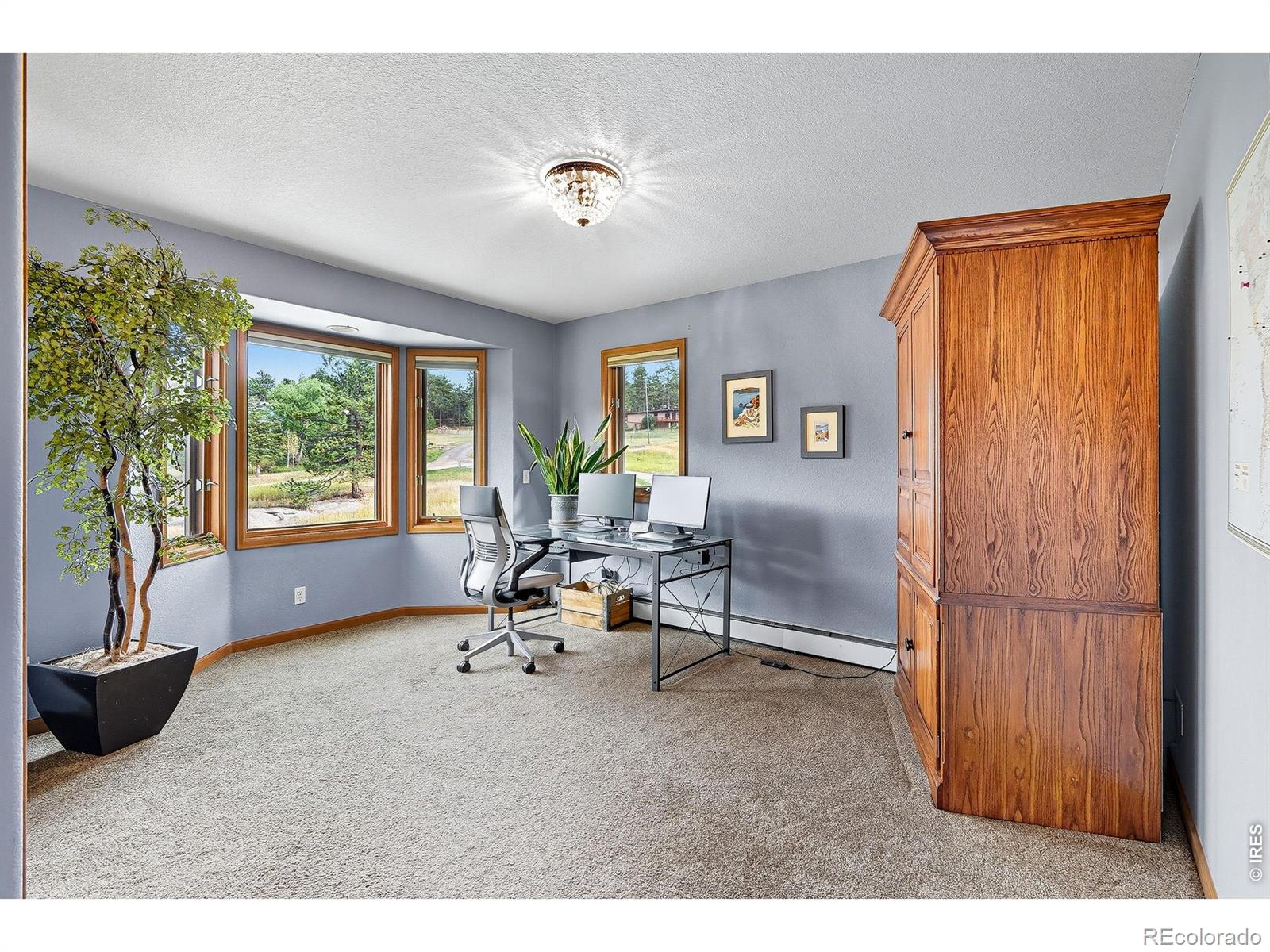 234 Deer Lane Lyons CO 80540