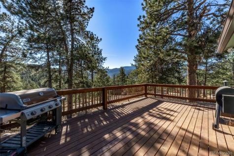 20 Parkview Bailey CO 80421