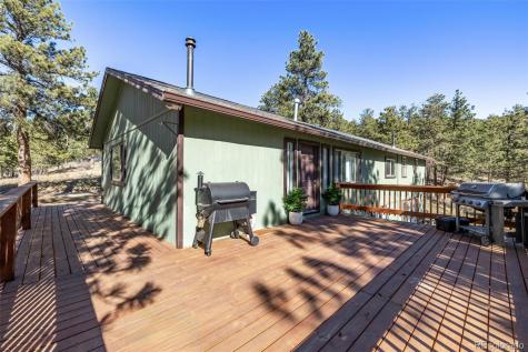 20 Parkview Bailey CO 80421