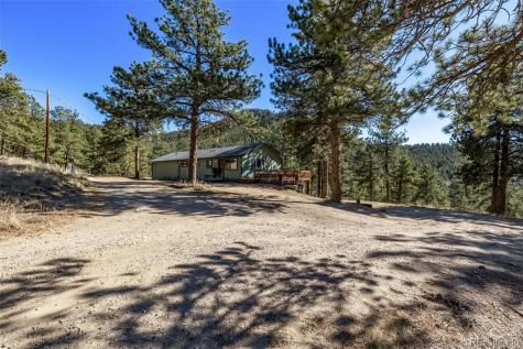 20 Parkview Bailey CO 80421