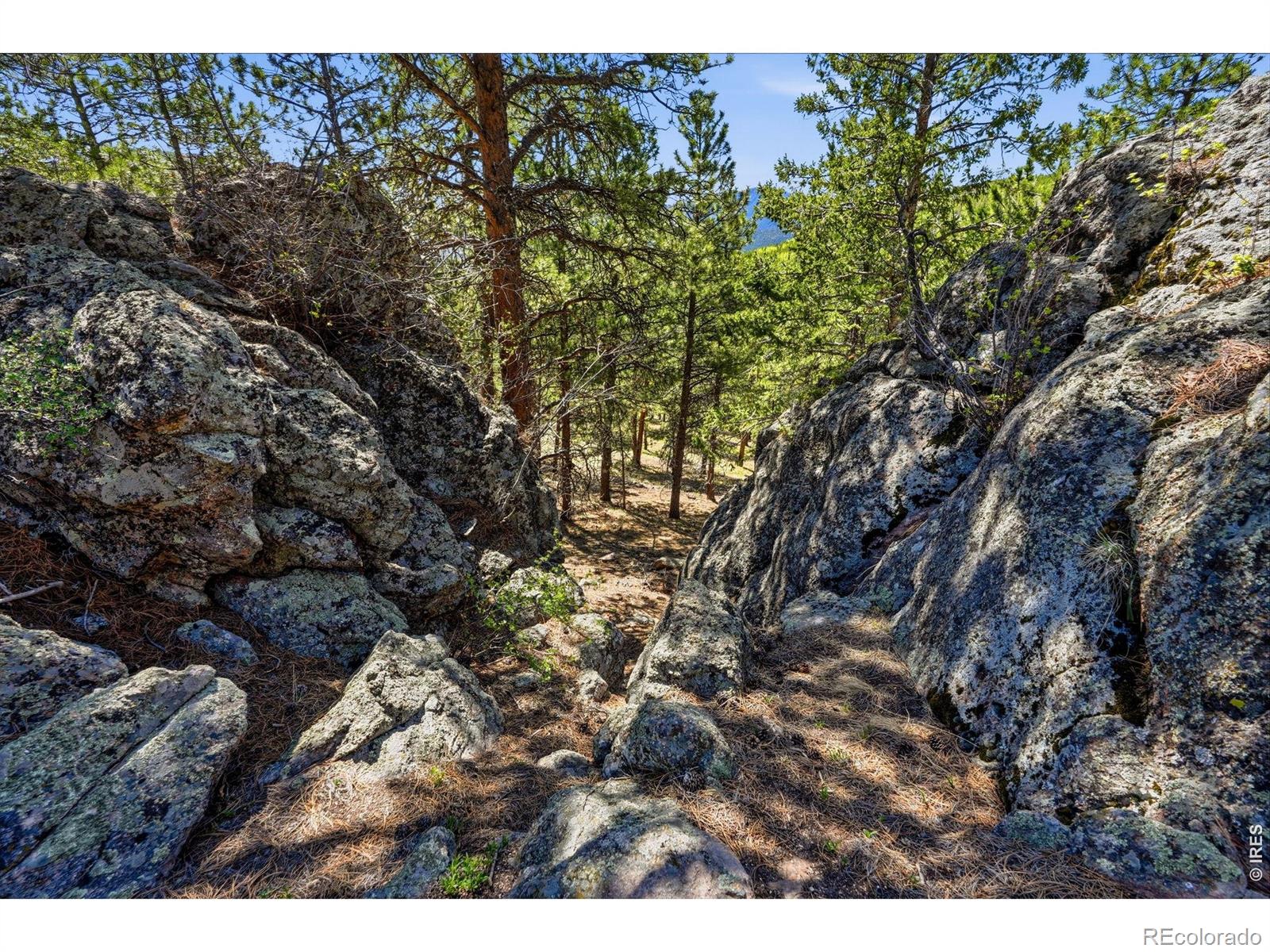 76 Cairn Court Drake CO 80515
