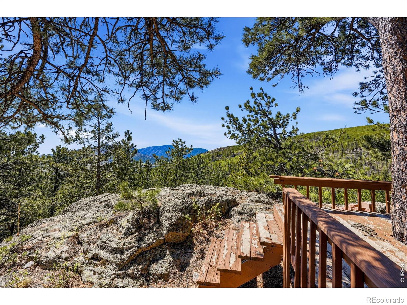 76 Cairn Court Drake CO 80515