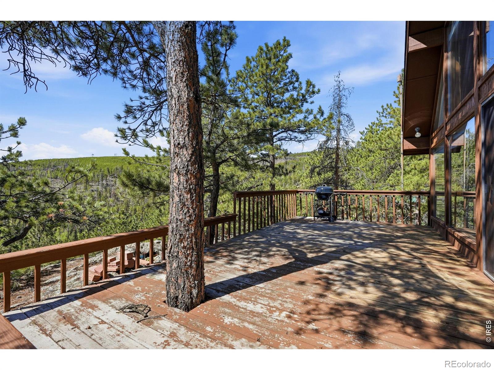 76 Cairn Court Drake CO 80515