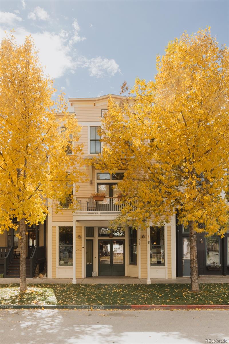 902 S Main Street Buena Vista CO 81211
