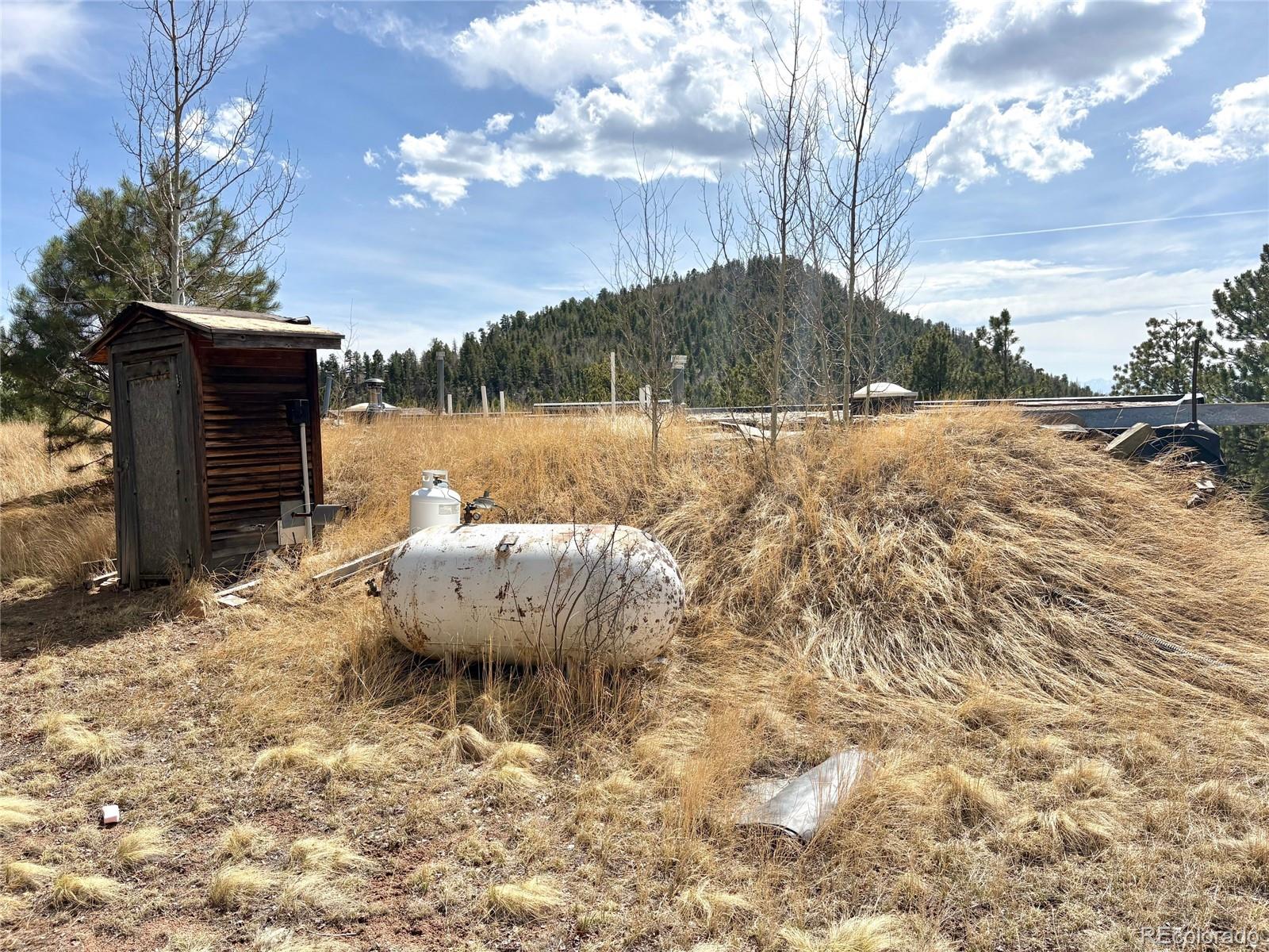 2121 Cr 1 Florissant CO 80816