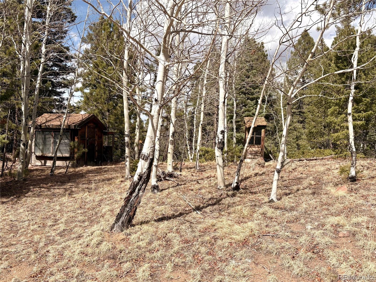 2121 Cr 1 Florissant CO 80816