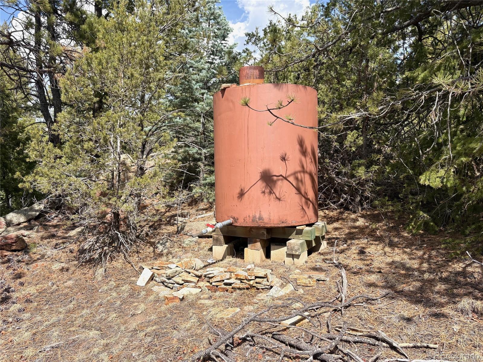 2121 Cr 1 Florissant CO 80816