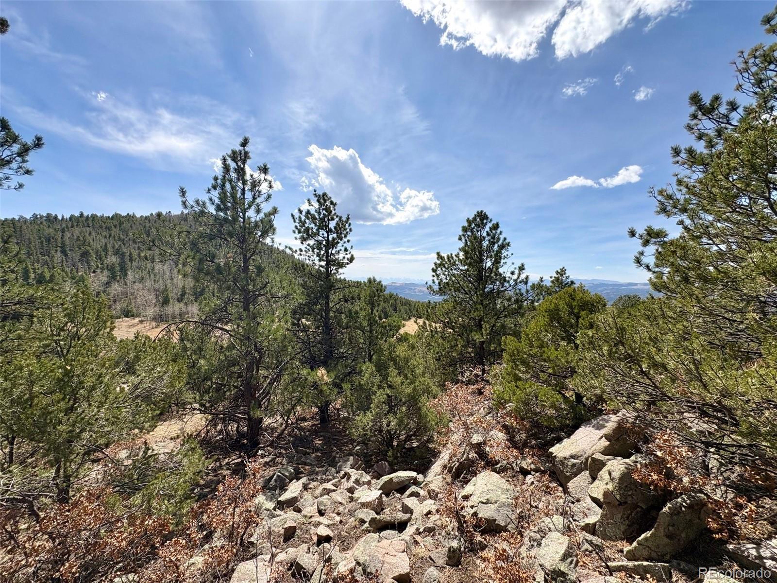 2121 Cr 1 Florissant CO 80816