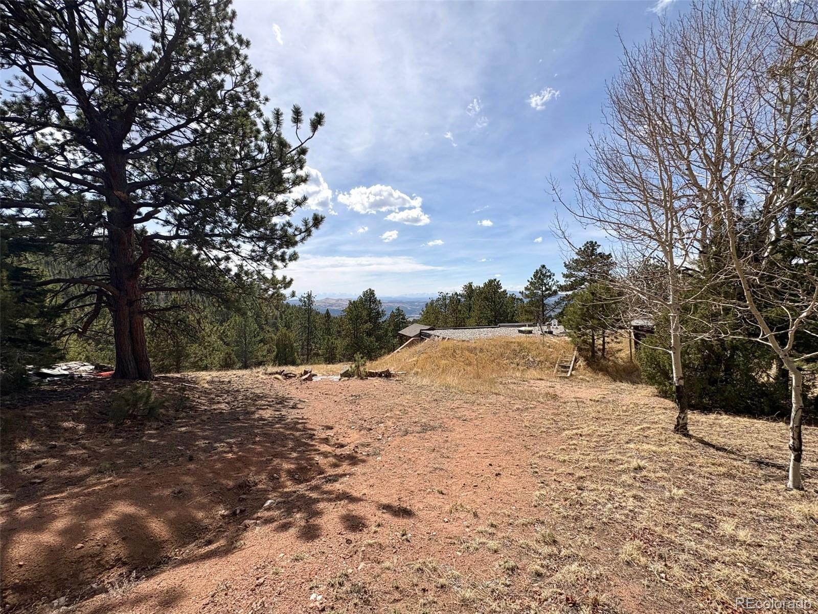 2121 Cr 1 Florissant CO 80816