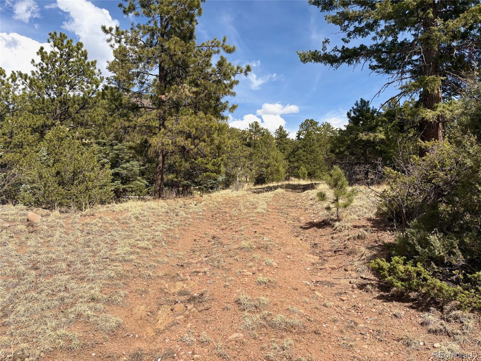 2121 Cr 1 Florissant CO 80816