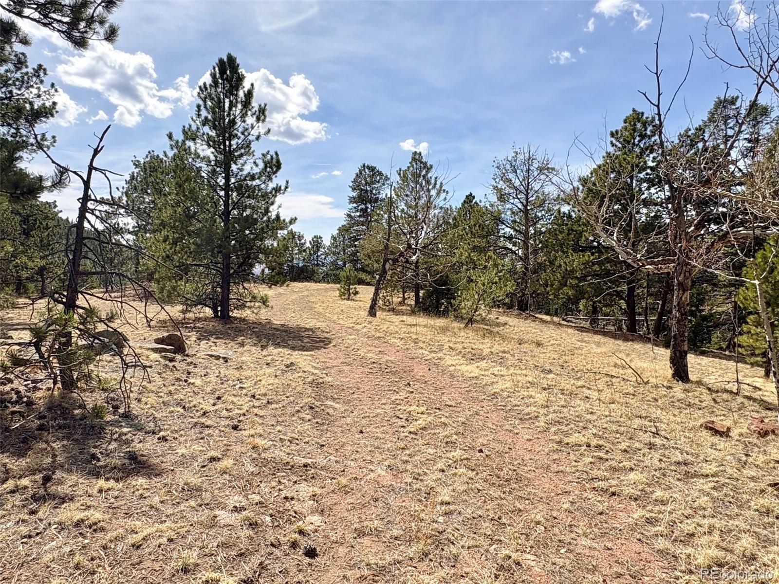 2121 Cr 1 Florissant CO 80816
