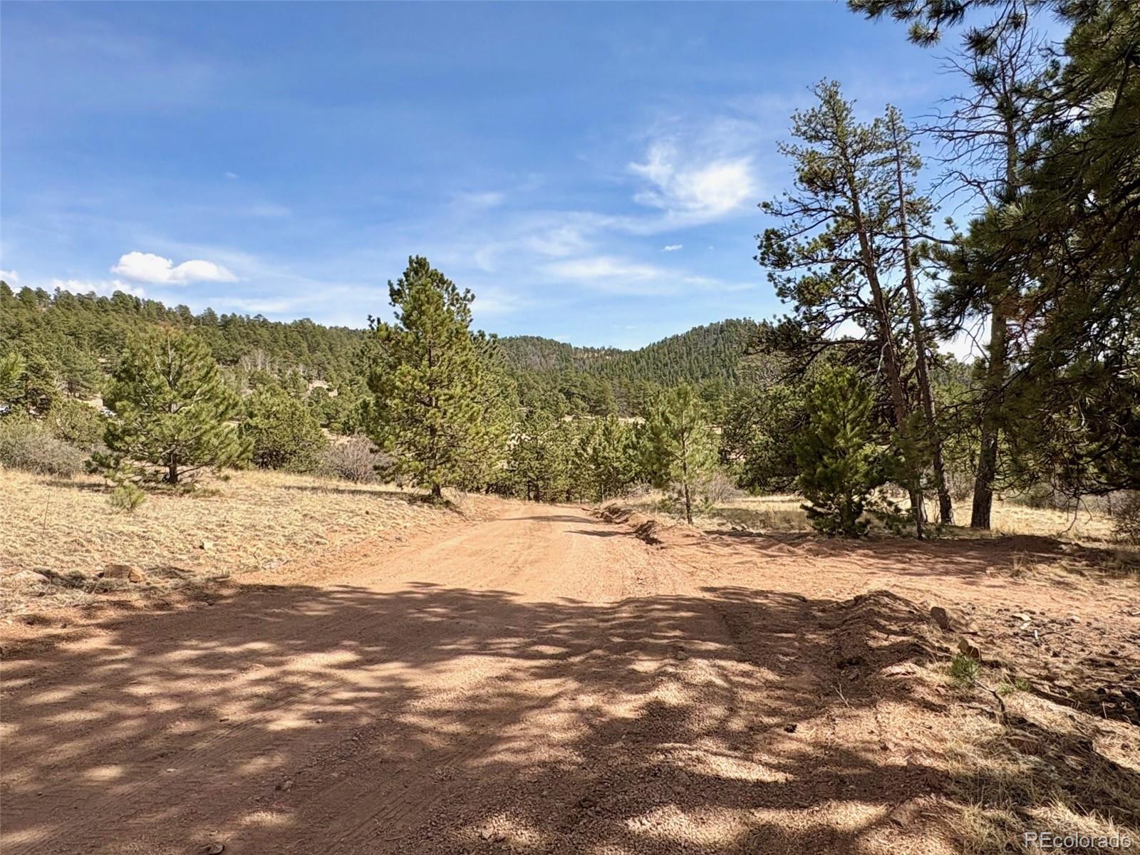 2121 Cr 1 Florissant CO 80816