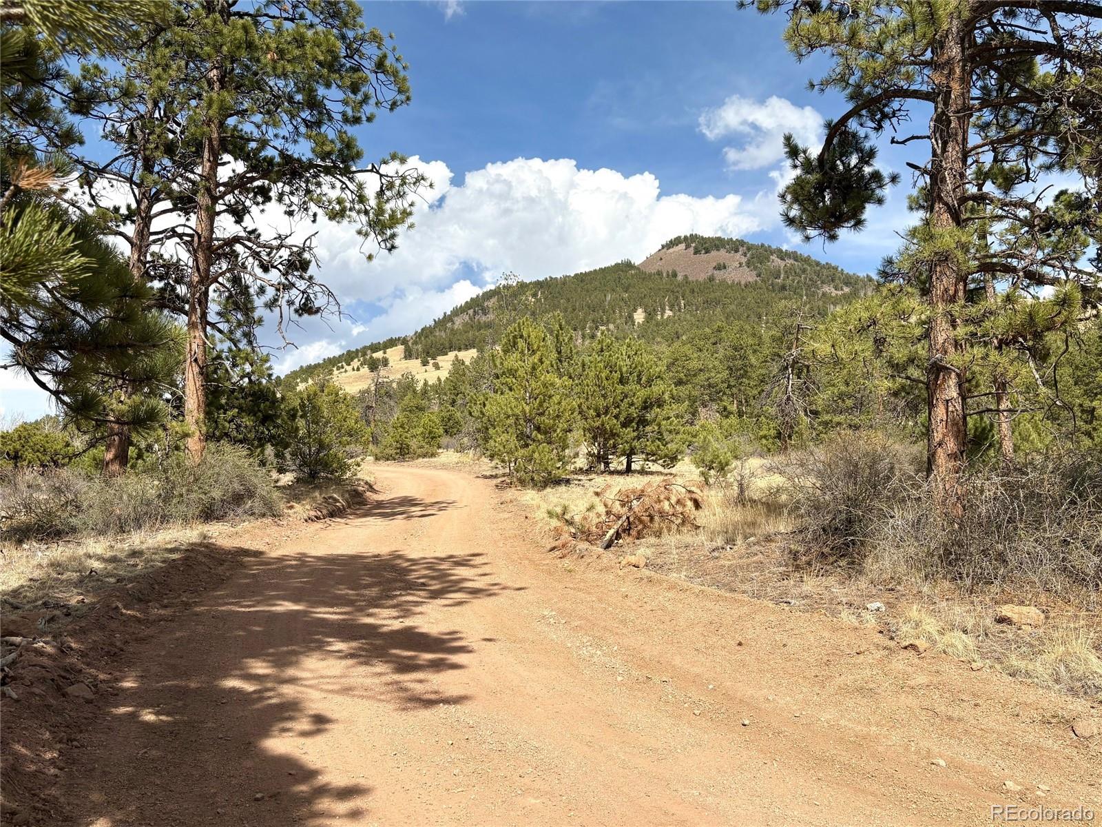 2121 Cr 1 Florissant CO 80816