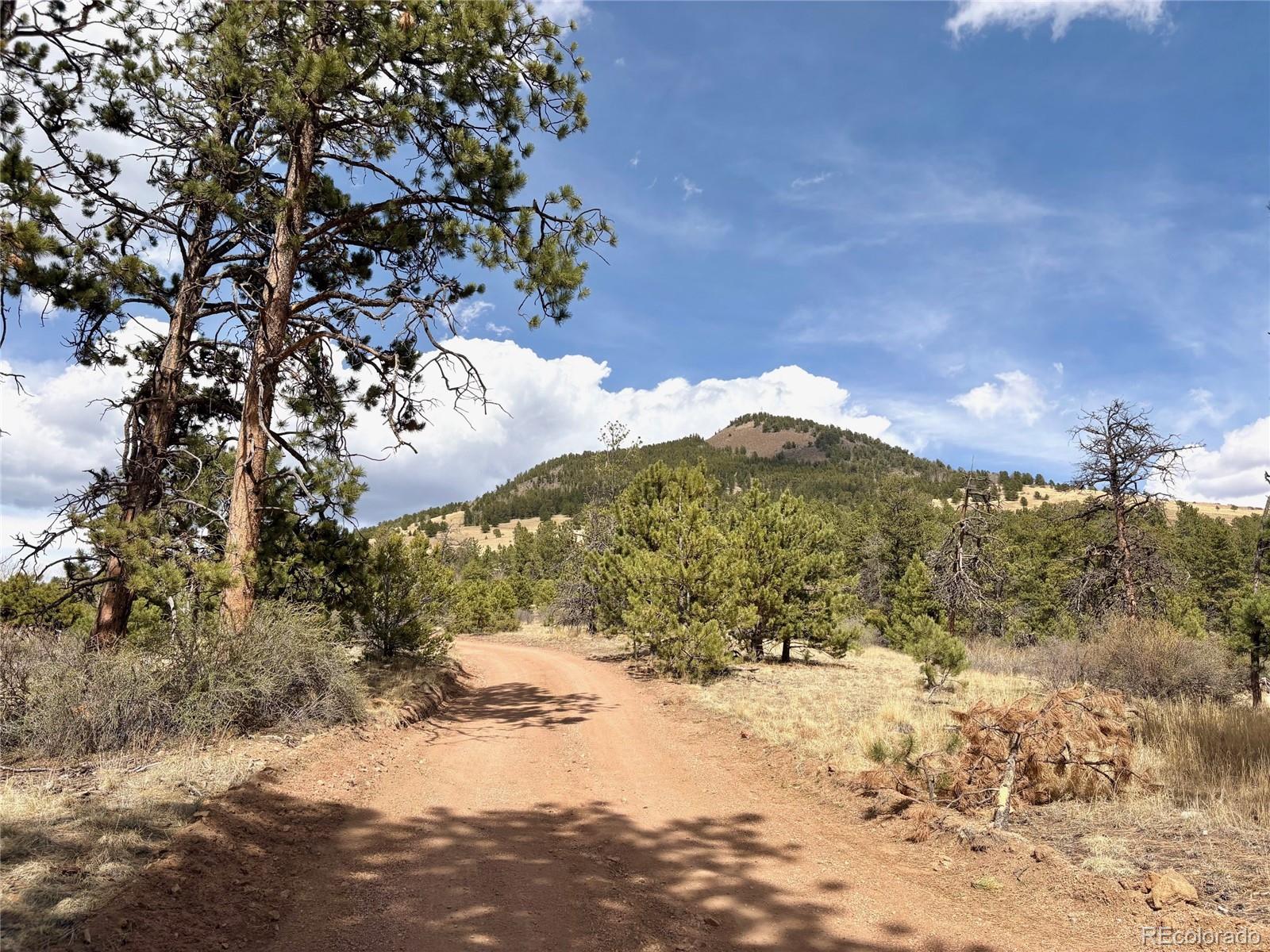 2121 Cr 1 Florissant CO 80816