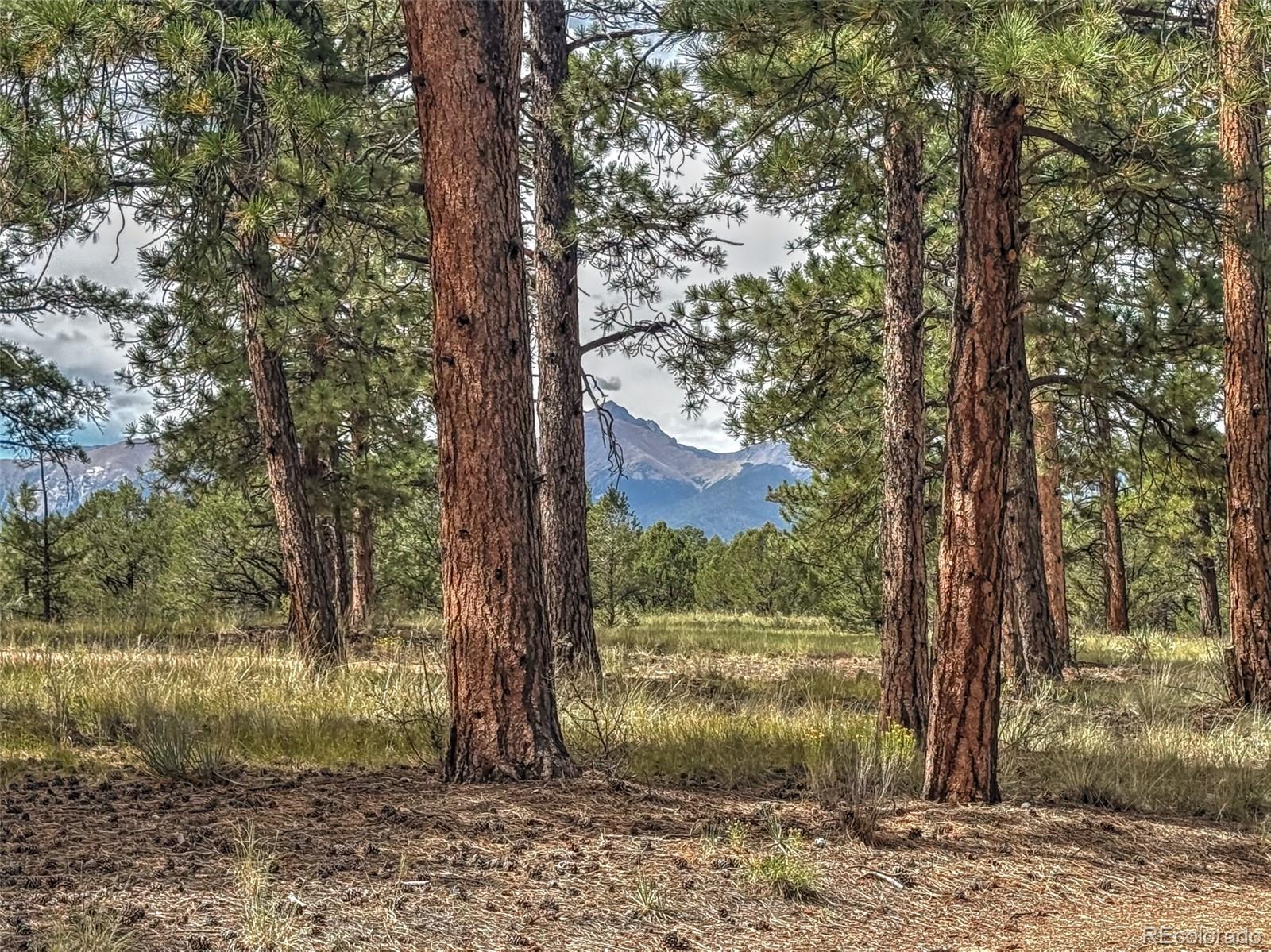 111 Sioux Trail Westcliffe CO 81252