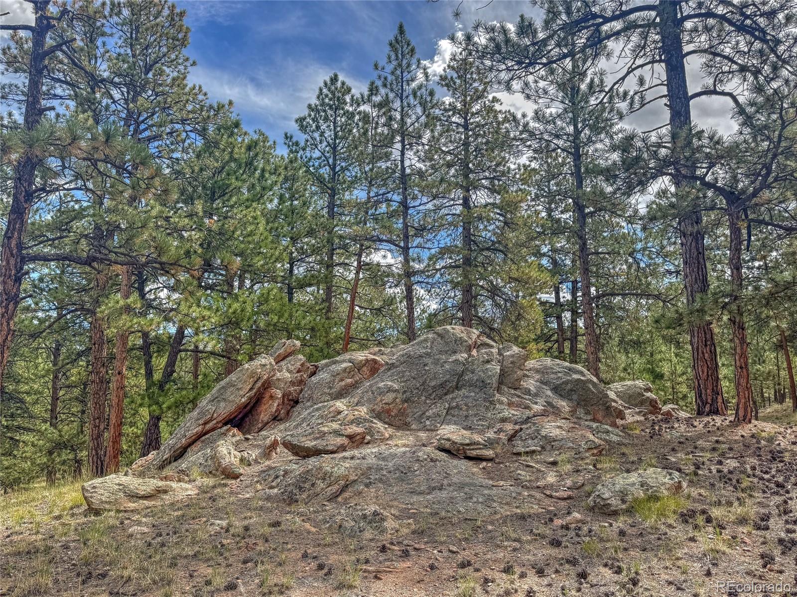111 Sioux Trail Westcliffe CO 81252