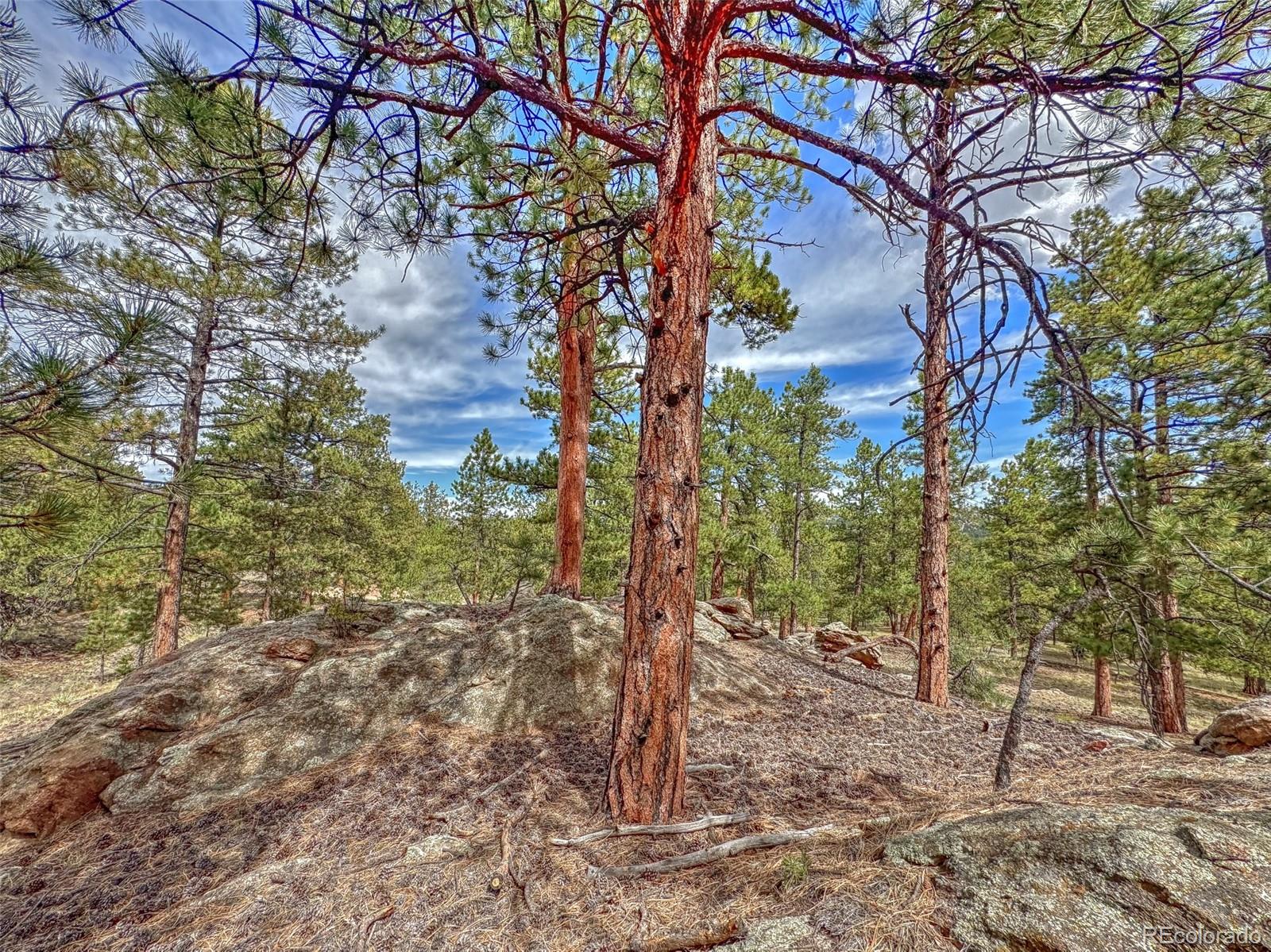 111 Sioux Trail Westcliffe CO 81252