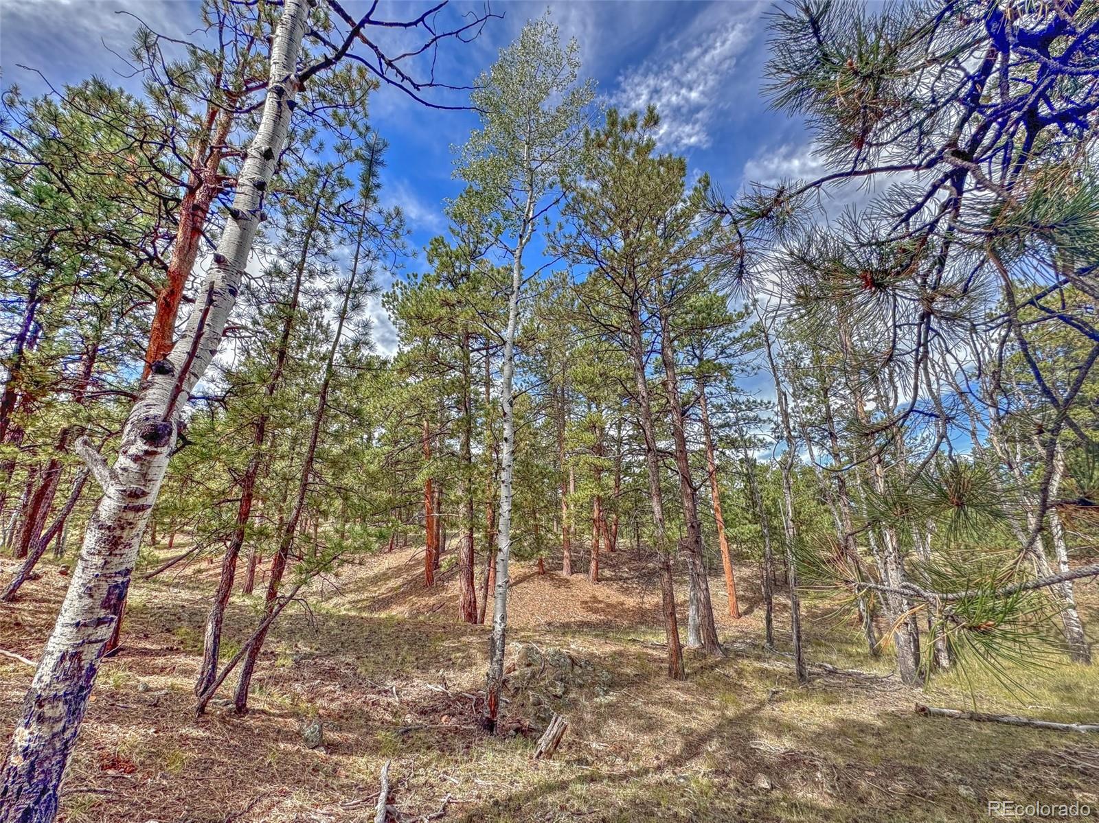 111 Sioux Trail Westcliffe CO 81252