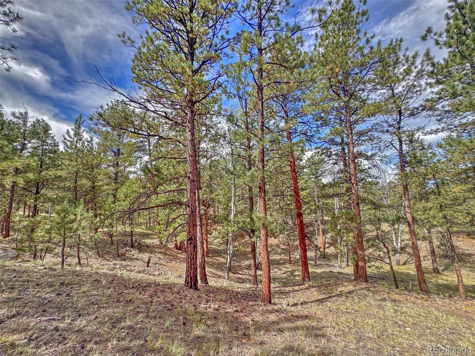 111 Sioux Trail Westcliffe CO 81252