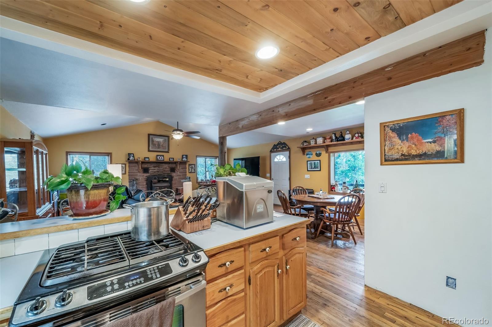 8774 Spring Drive Conifer CO 80433