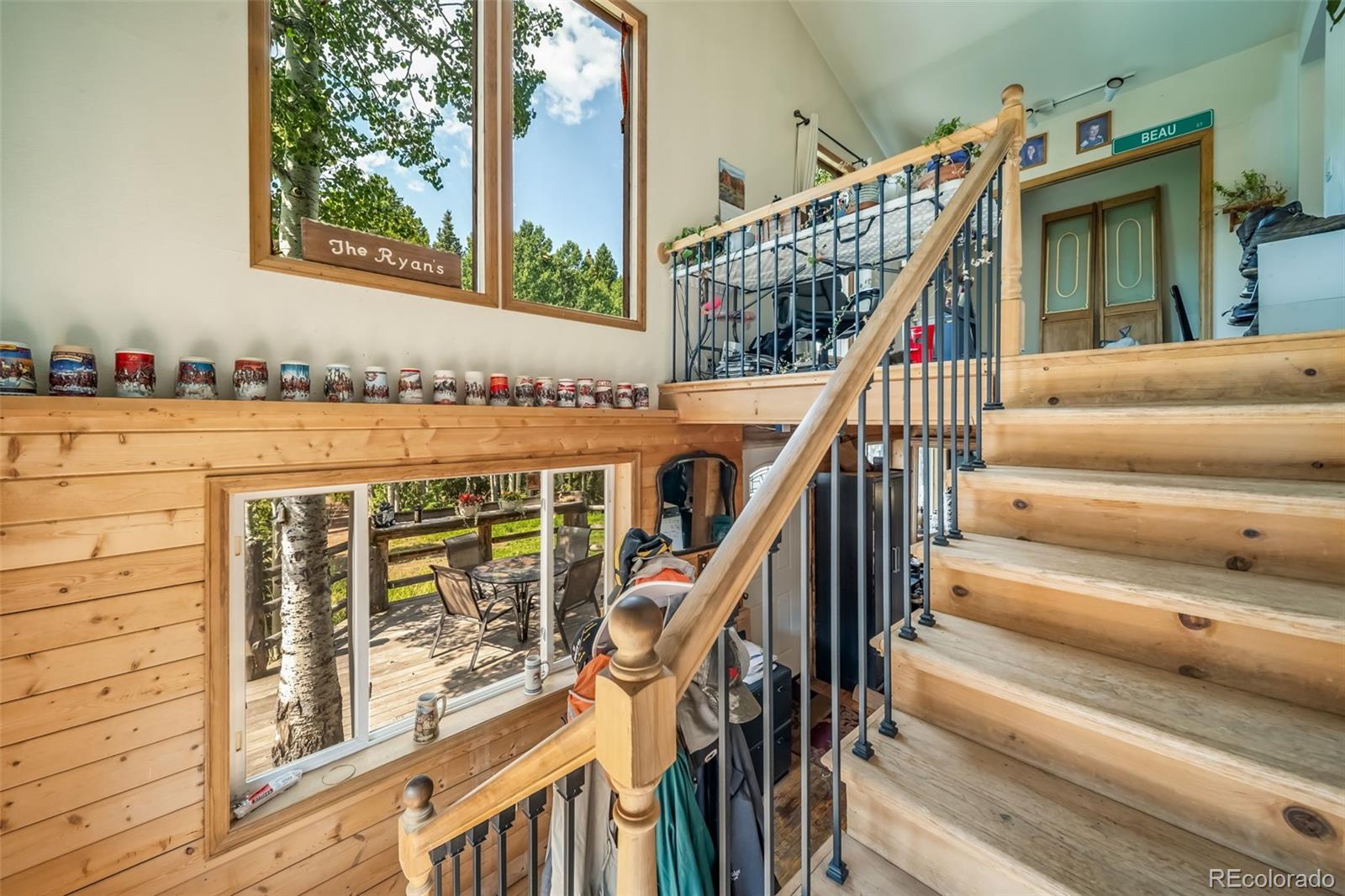 8774 Spring Drive Conifer CO 80433
