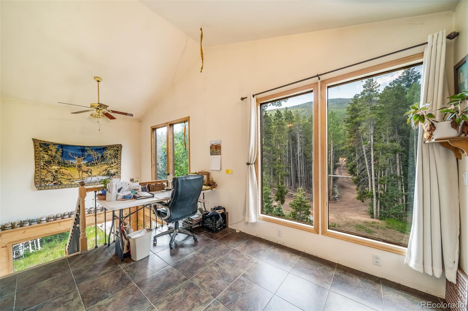 8774 Spring Drive Conifer CO 80433