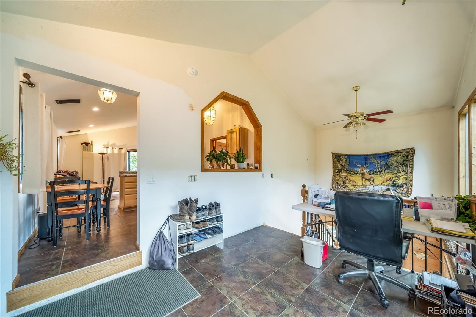 8774 Spring Drive Conifer CO 80433