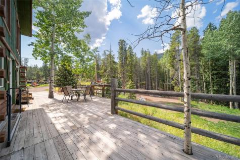 8774 Spring Drive Conifer CO 80433