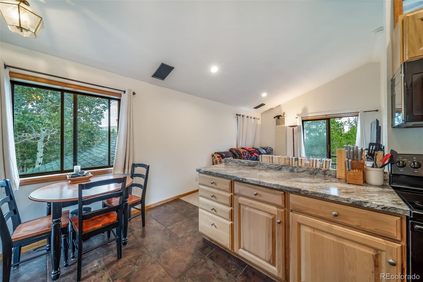 8774 Spring Drive Conifer CO 80433