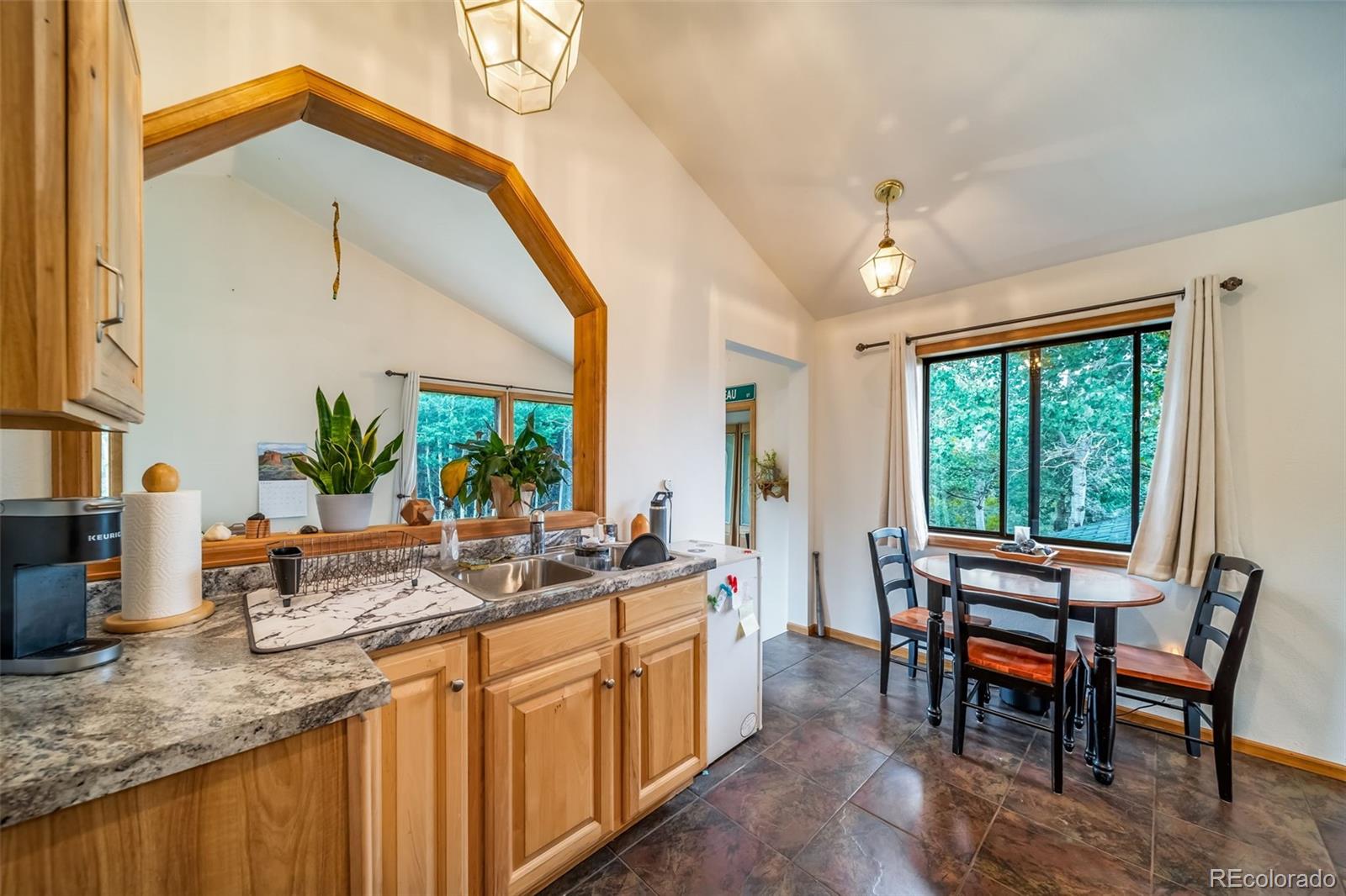 8774 Spring Drive Conifer CO 80433