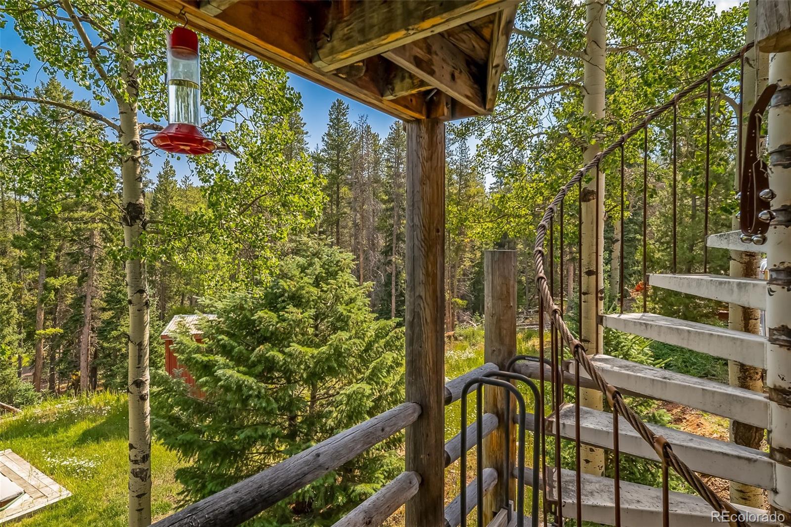8774 Spring Drive Conifer CO 80433