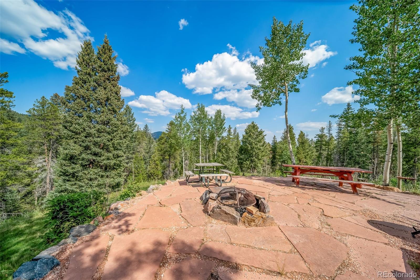 8774 Spring Drive Conifer CO 80433