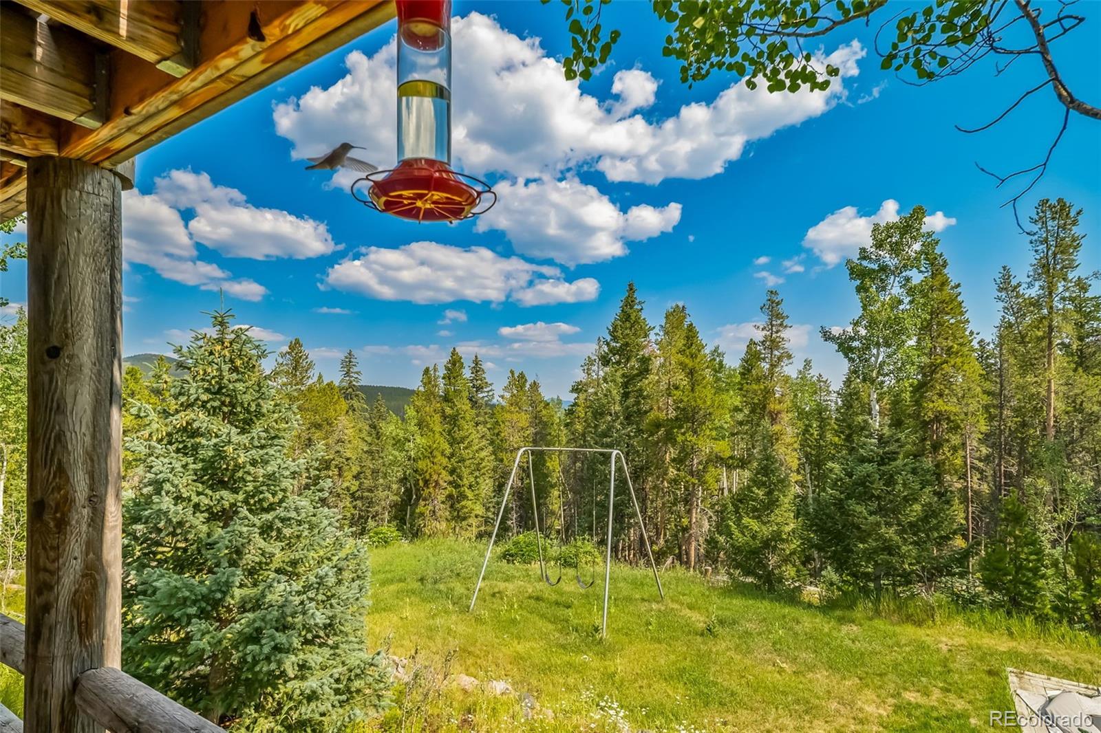 8774 Spring Drive Conifer CO 80433