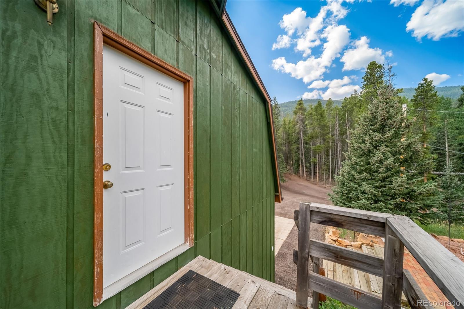 8774 Spring Drive Conifer CO 80433