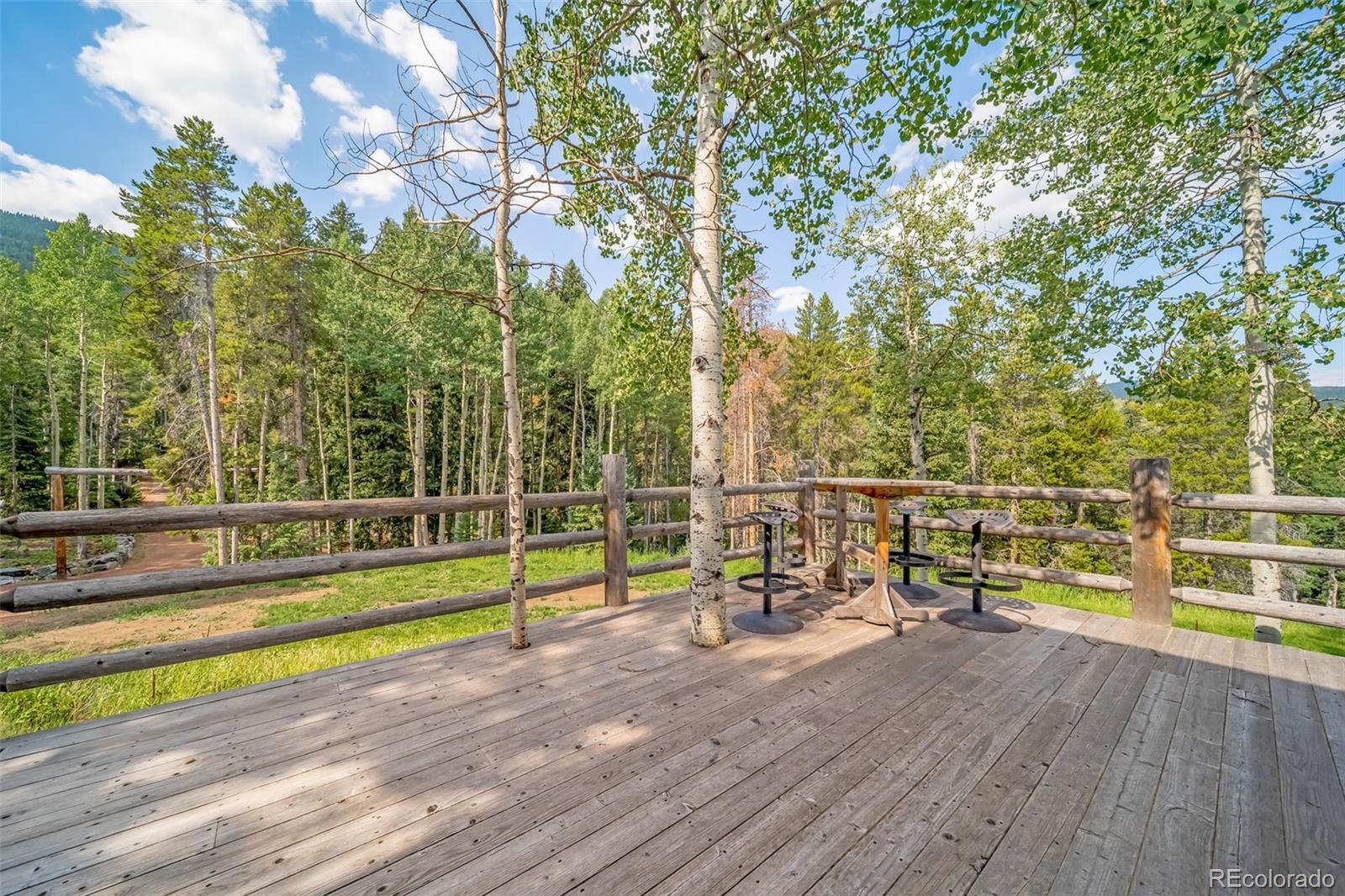 8774 Spring Drive Conifer CO 80433