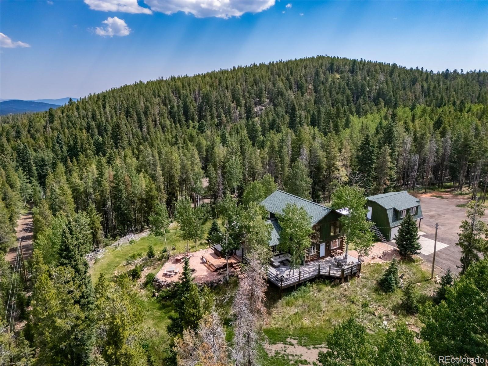 8774 Spring Drive Conifer CO 80433