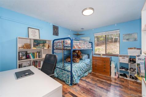 8991 Rex Lane Conifer CO 80433