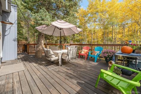 8991 Rex Lane Conifer CO 80433